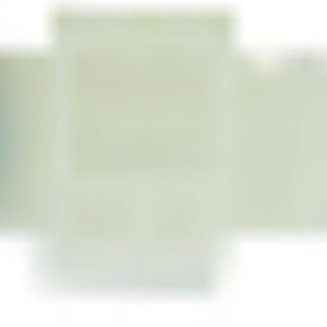 Impfventil 1/2" 4x6mm PVDF (07310621)
